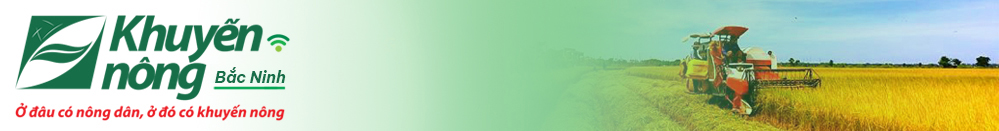 Khuyến nông Bắc Ninh.jpg