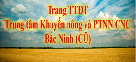 Banner TTKN BN cũ.PNG
