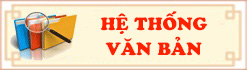 Banner VB.jpg
