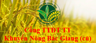 Banner bg cũ 1.PNG