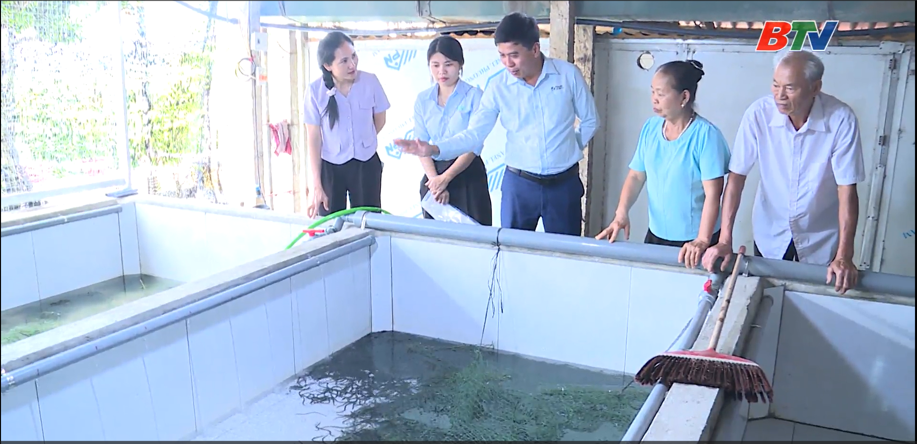 Kỹ thuật nuôi lươn không bùn trong bể